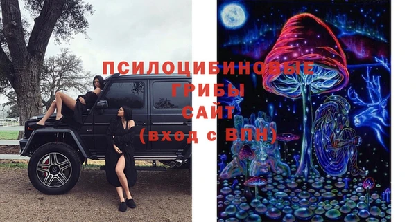 шишки Алексеевка