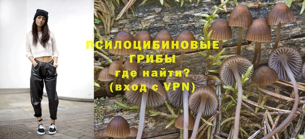 хмурый Абинск