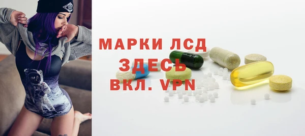 ECSTASY Алзамай