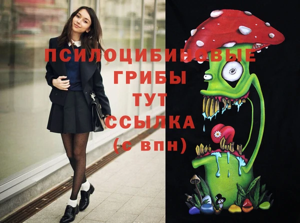 индика Алексин