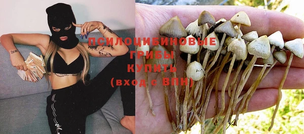 хмурый Абинск