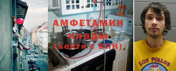 индика Алексин